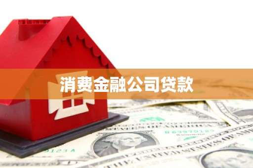西塞山消费金融公司贷款