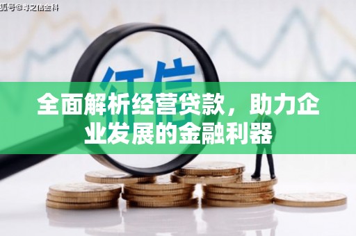 西塞山全面解析经营贷款，助力企业发展的金融利器