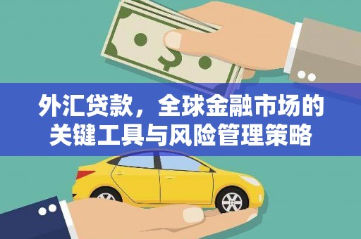 西塞山外汇贷款，全球金融市场的关键工具与风险管理策略