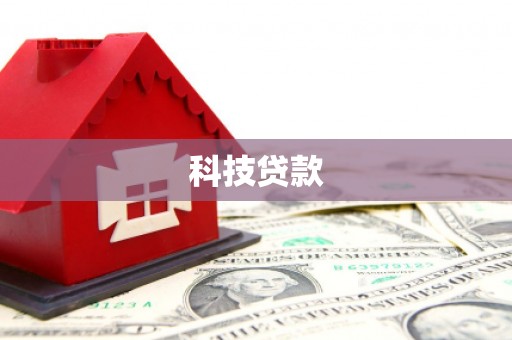 西塞山科技贷款