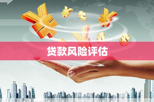 西塞山贷款风险评估