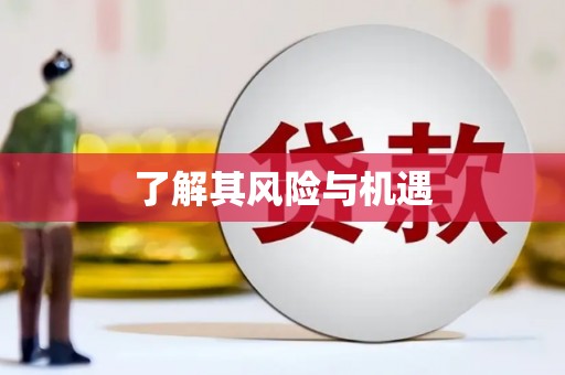 西塞山了解其风险与机遇