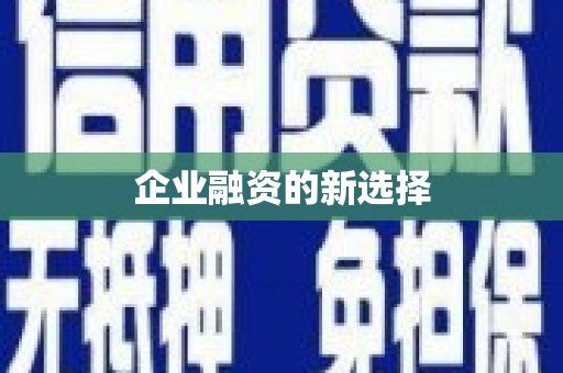 西塞山企业融资的新选择