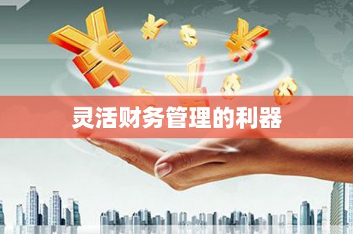 西塞山灵活财务管理的利器