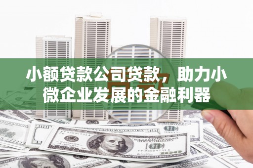 西塞山小额贷款公司贷款，助力小微企业发展的金融利器