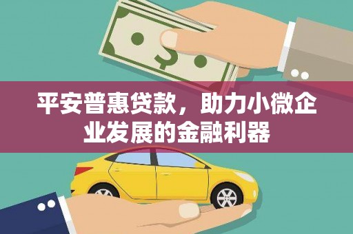 西塞山平安普惠贷款，助力小微企业发展的金融利器