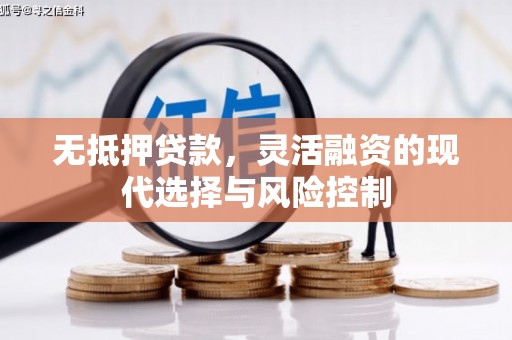 西塞山无抵押贷款，灵活融资的现代选择与风险控制
