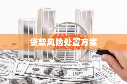 西塞山贷款风险处置方案