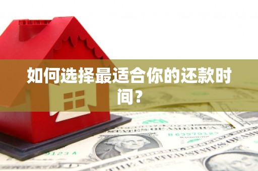 西塞山如何选择最适合你的还款时间？