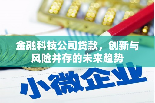 西塞山金融科技公司贷款，创新与风险并存的未来趋势