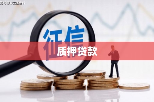 西塞山质押贷款