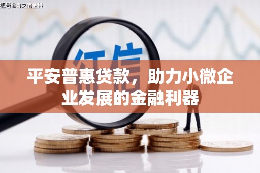 西塞山平安普惠贷款，助力小微企业发展的金融利器