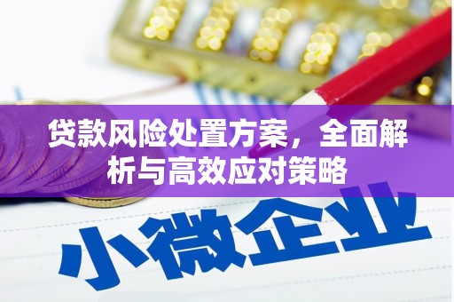 西塞山贷款风险处置方案，全面解析与高效应对策略