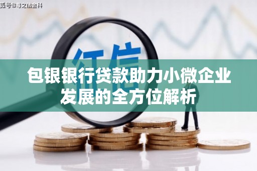 西塞山包银银行贷款助力小微企业发展的全方位解析