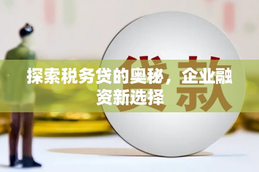 西塞山探索税务贷的奥秘，企业融资新选择