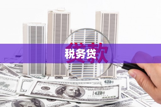 西塞山税务贷