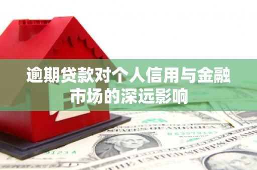 西塞山逾期贷款对个人信用与金融市场的深远影响