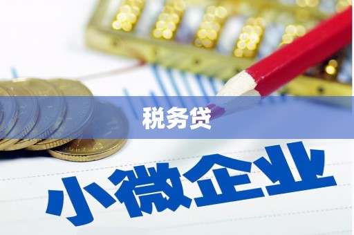西塞山税务贷