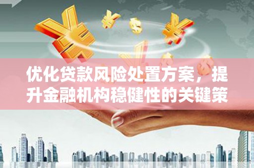 西塞山优化贷款风险处置方案，提升金融机构稳健性的关键策略