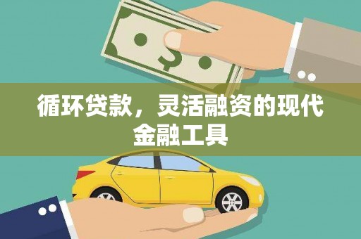 西塞山循环贷款，灵活融资的现代金融工具