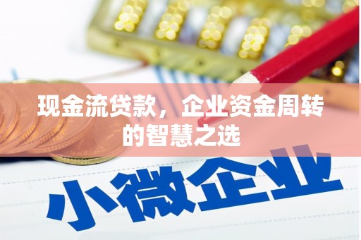 西塞山现金流贷款，企业资金周转的智慧之选