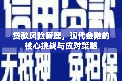 西塞山贷款风险管理，现代金融的核心挑战与应对策略