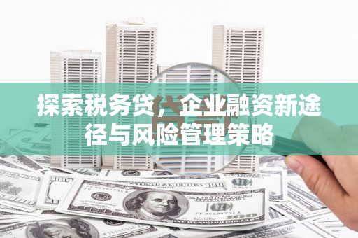 西塞山探索税务贷，企业融资新途径与风险管理策略