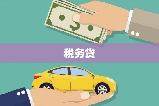 西塞山税务贷