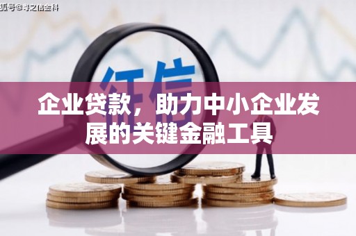 西塞山企业贷款，助力中小企业发展的关键金融工具