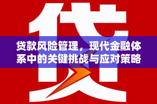西塞山贷款风险管理，现代金融体系中的关键挑战与应对策略