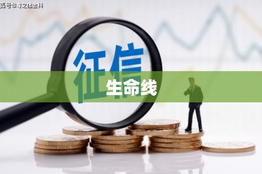 西塞山生命线
