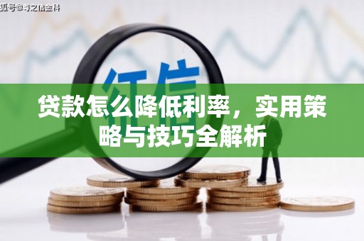 西塞山贷款怎么降低利率，实用策略与技巧全解析