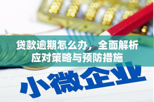 西塞山贷款逾期怎么办，全面解析应对策略与预防措施