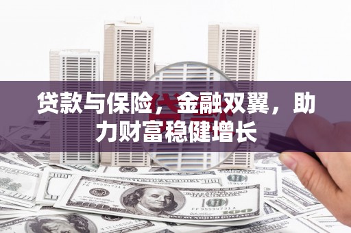 西塞山贷款与保险，金融双翼，助力财富稳健增长