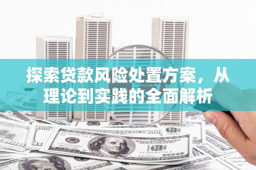 西塞山探索贷款风险处置方案，从理论到实践的全面解析