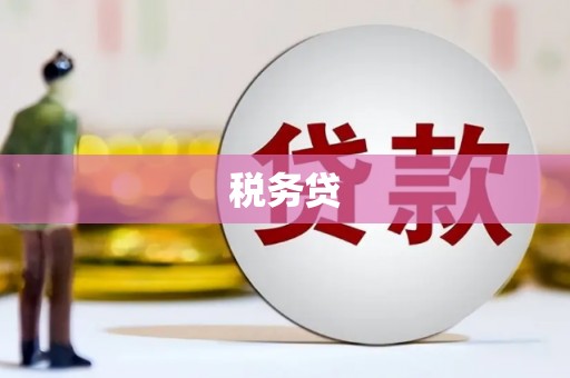西塞山税务贷