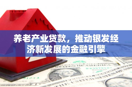 西塞山养老产业贷款，推动银发经济新发展的金融引擎