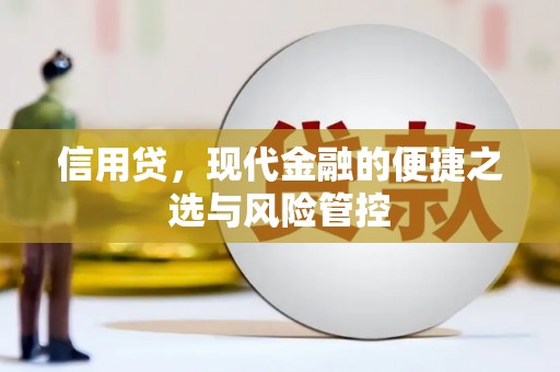 西塞山信用贷，现代金融的便捷之选与风险管控