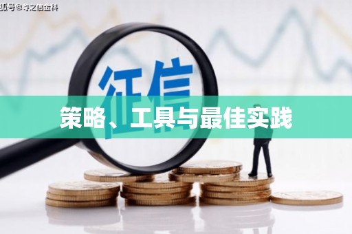 西塞山策略、工具与最佳实践