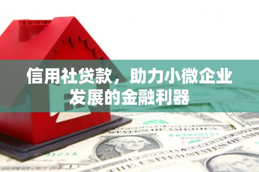 西塞山信用社贷款，助力小微企业发展的金融利器