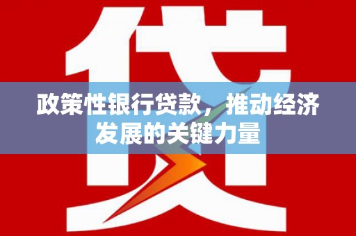 西塞山政策性银行贷款，推动经济发展的关键力量