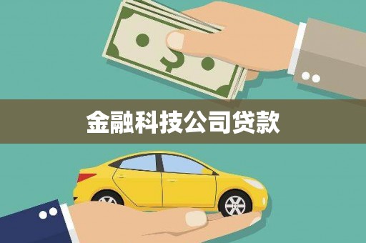 西塞山金融科技公司贷款