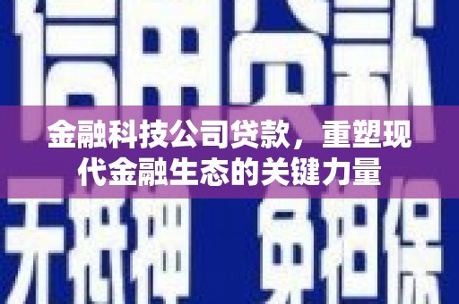 西塞山金融科技公司贷款，重塑现代金融生态的关键力量