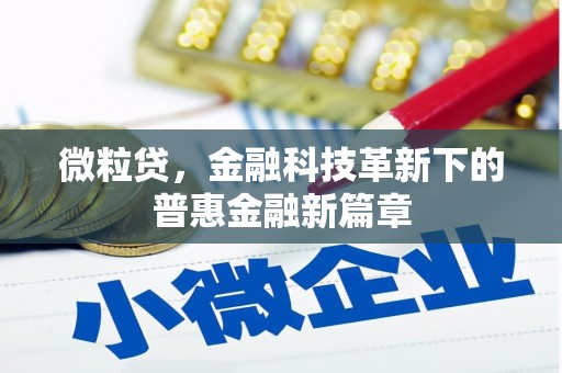 西塞山微粒贷，金融科技革新下的普惠金融新篇章