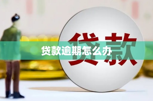 西塞山贷款逾期怎么办