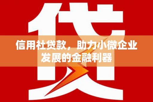 西塞山信用社贷款，助力小微企业发展的金融利器