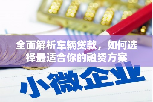 西塞山全面解析车辆贷款，如何选择最适合你的融资方案