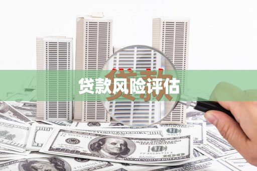 西塞山贷款风险评估