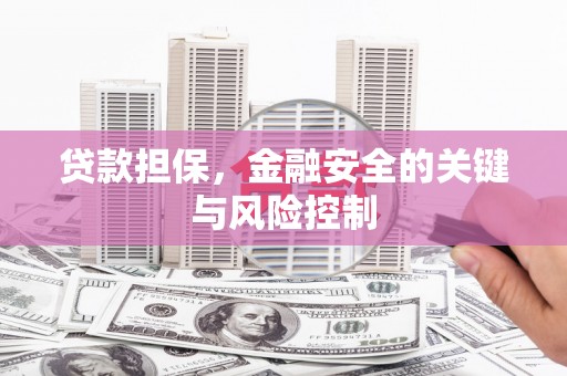 西塞山贷款担保，金融安全的关键与风险控制