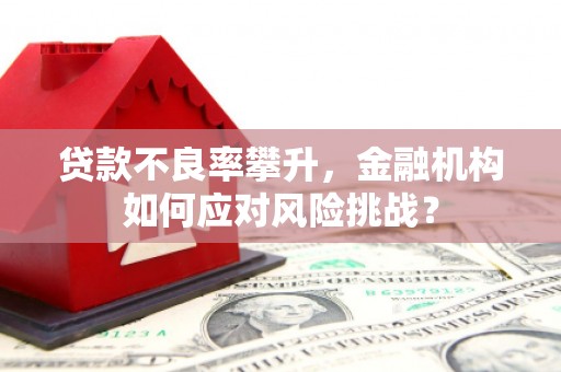 西塞山贷款不良率攀升，金融机构如何应对风险挑战？